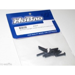 F/H screw M3x17 - HoBao (31317)