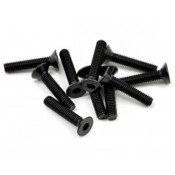 Screw M3 15 pcs - HoBao (H31315)