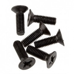 FLAT HEAD SCREWS 3X10 6P