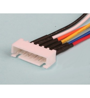 Conector hembra de balanceo 5S