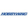 Hobbywing